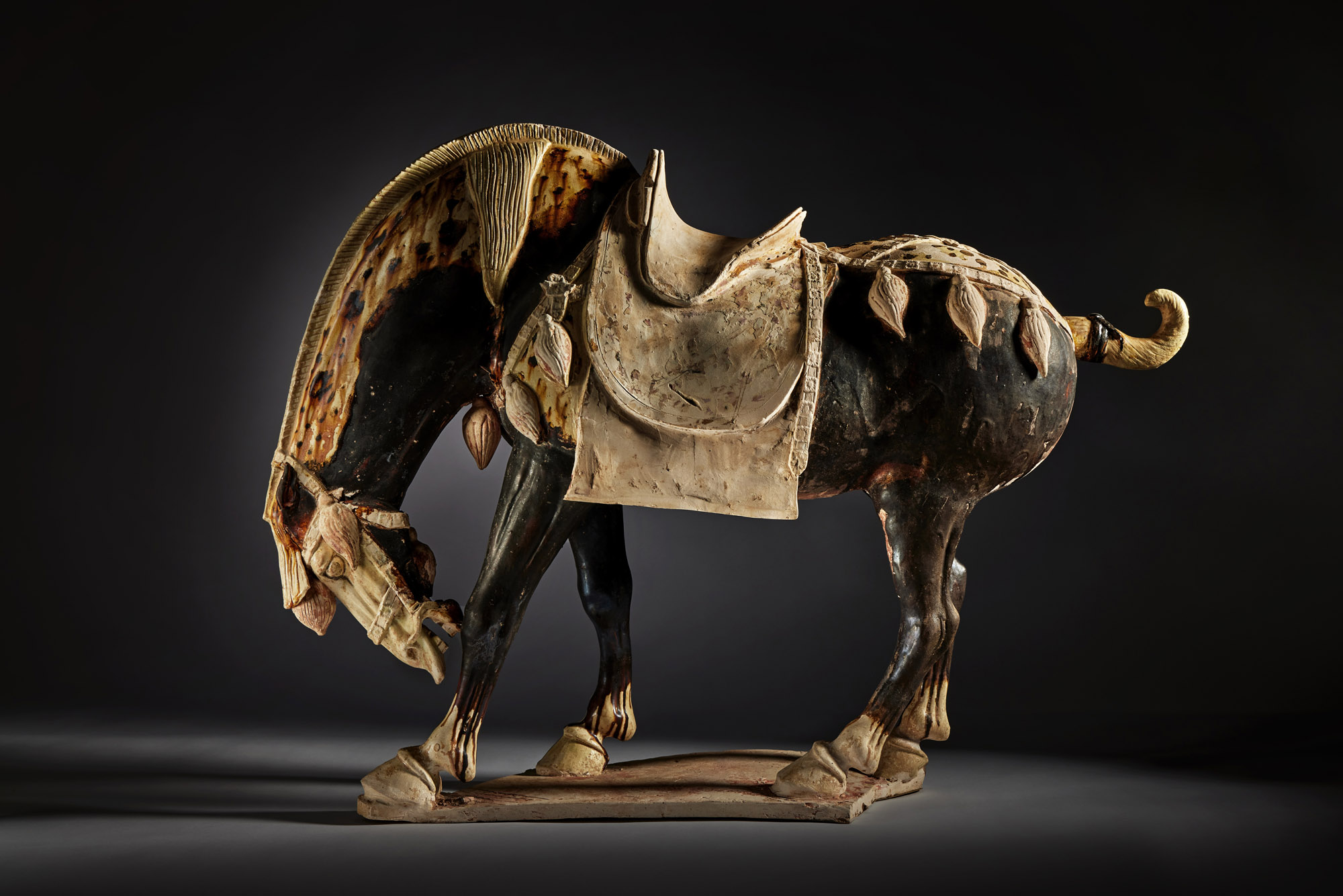 Mario Testino — Opening the Door to his Collection | Contemporary