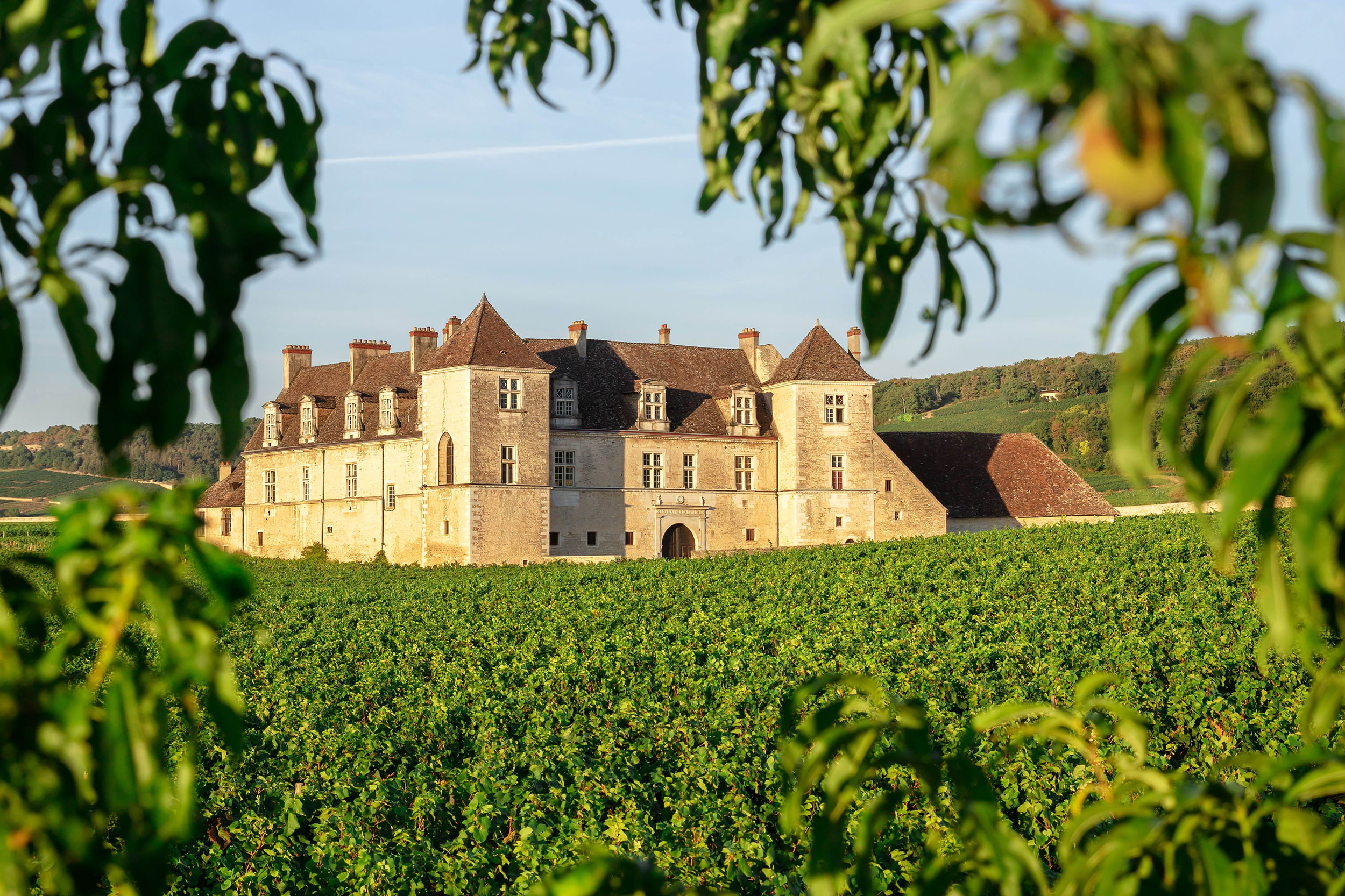 FAIVELEY Clos de Vougeot 1997 グランクリュ FAIVELEY Clos de