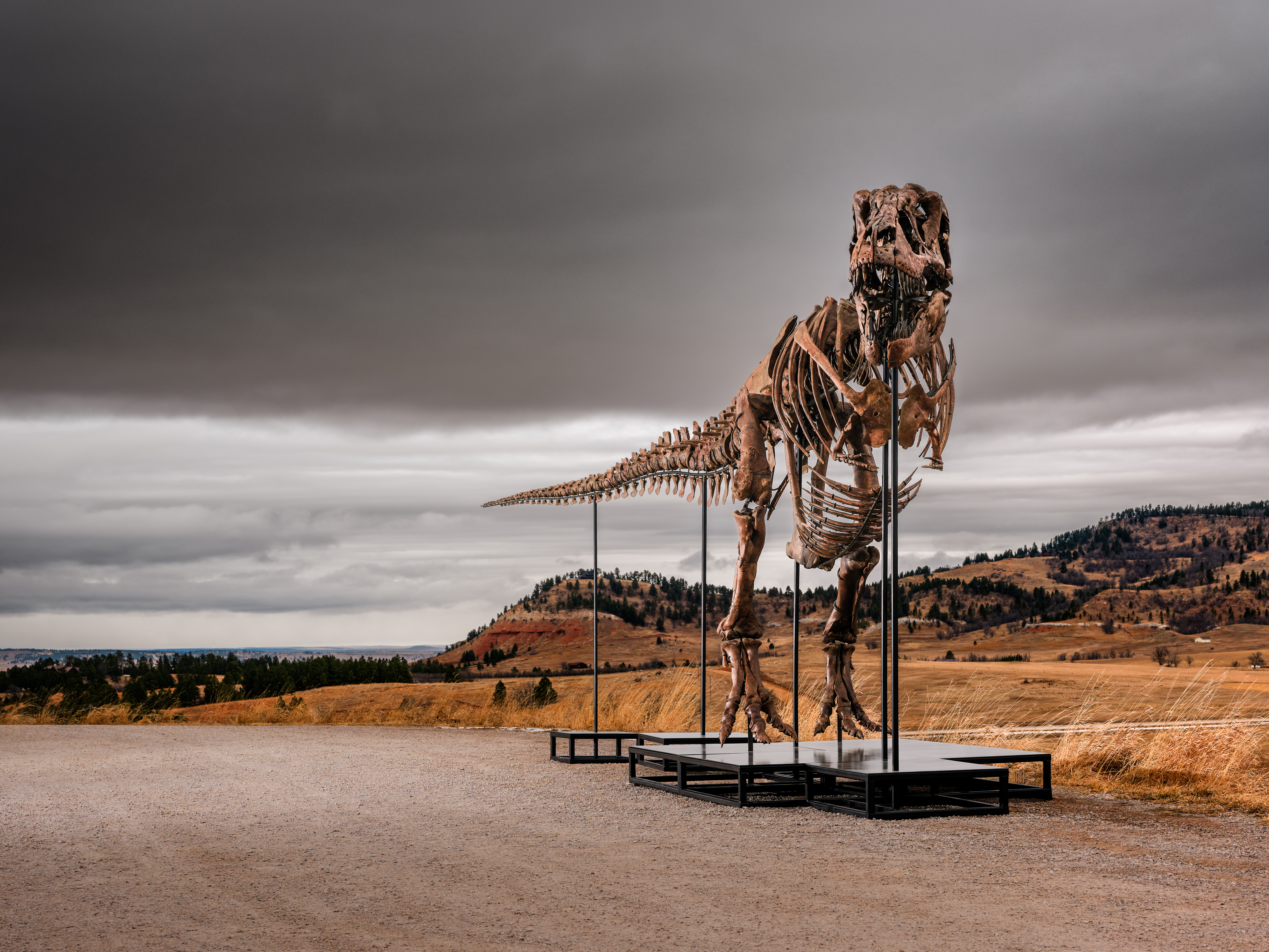 Type: featured Category: Geek Week A T. Rex, a Nobel Medal and the Pen That Saved Apollo 11: Geek Week’s Must-See Lots
