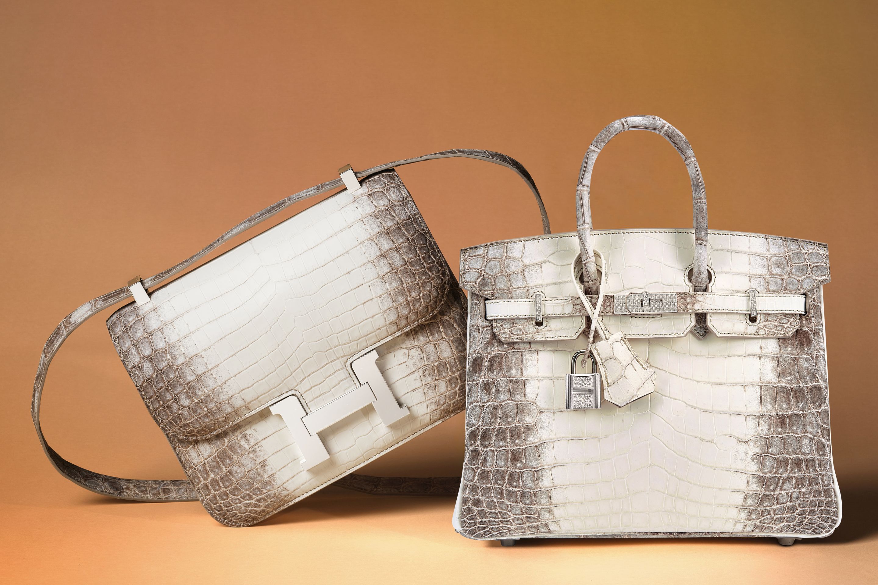 A Guide To The Rarest and Most Expensive Hermès Bags | Handbags