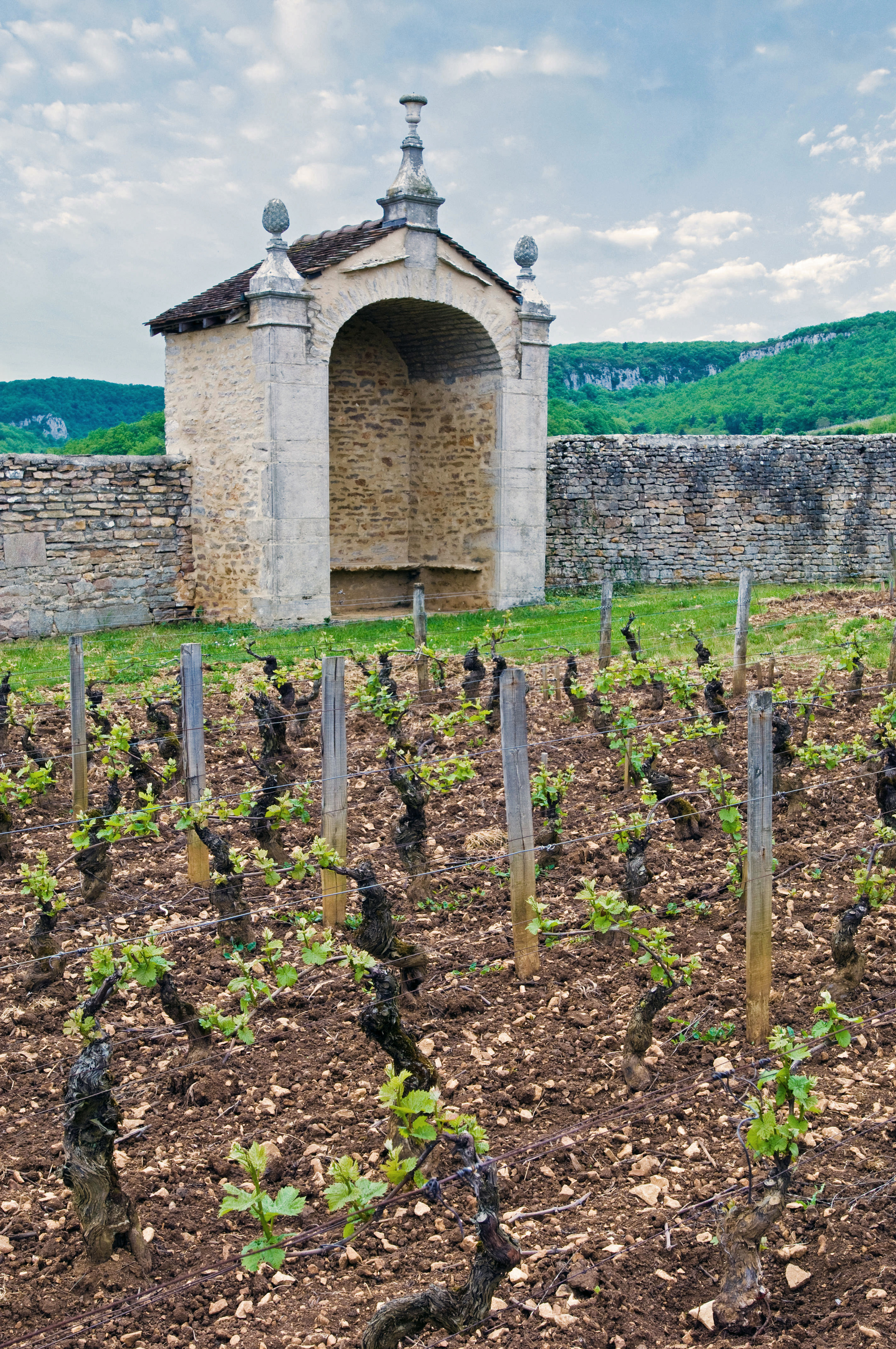 【未開封】　Chambertin Clos de Beze 2014(赤) Chambertin & Beze | Fast Worldwide Delivery | Vintage Grand Cru