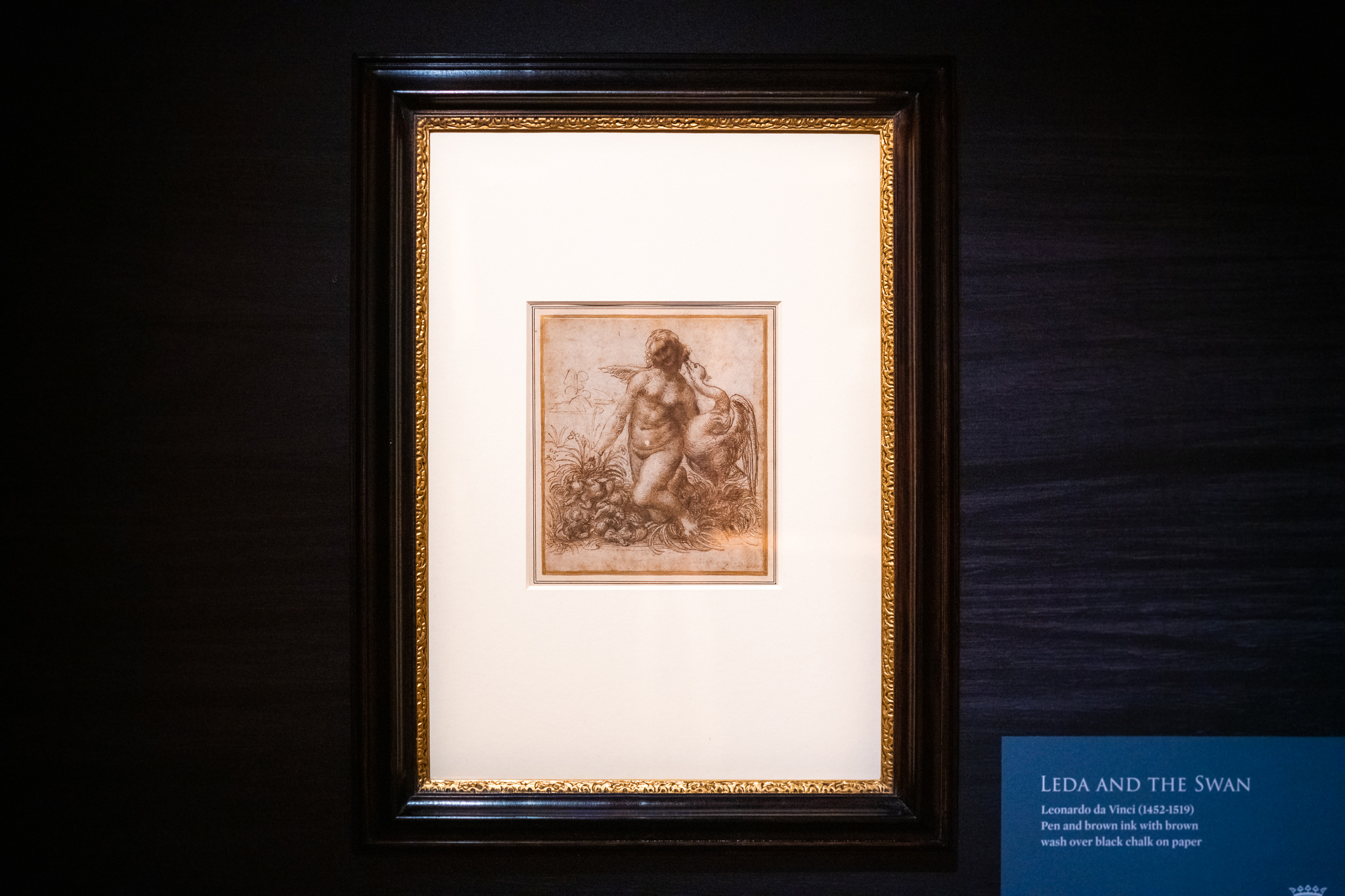 Treasure of the Week Leonardo da Vinci's 'Leda and the Swan