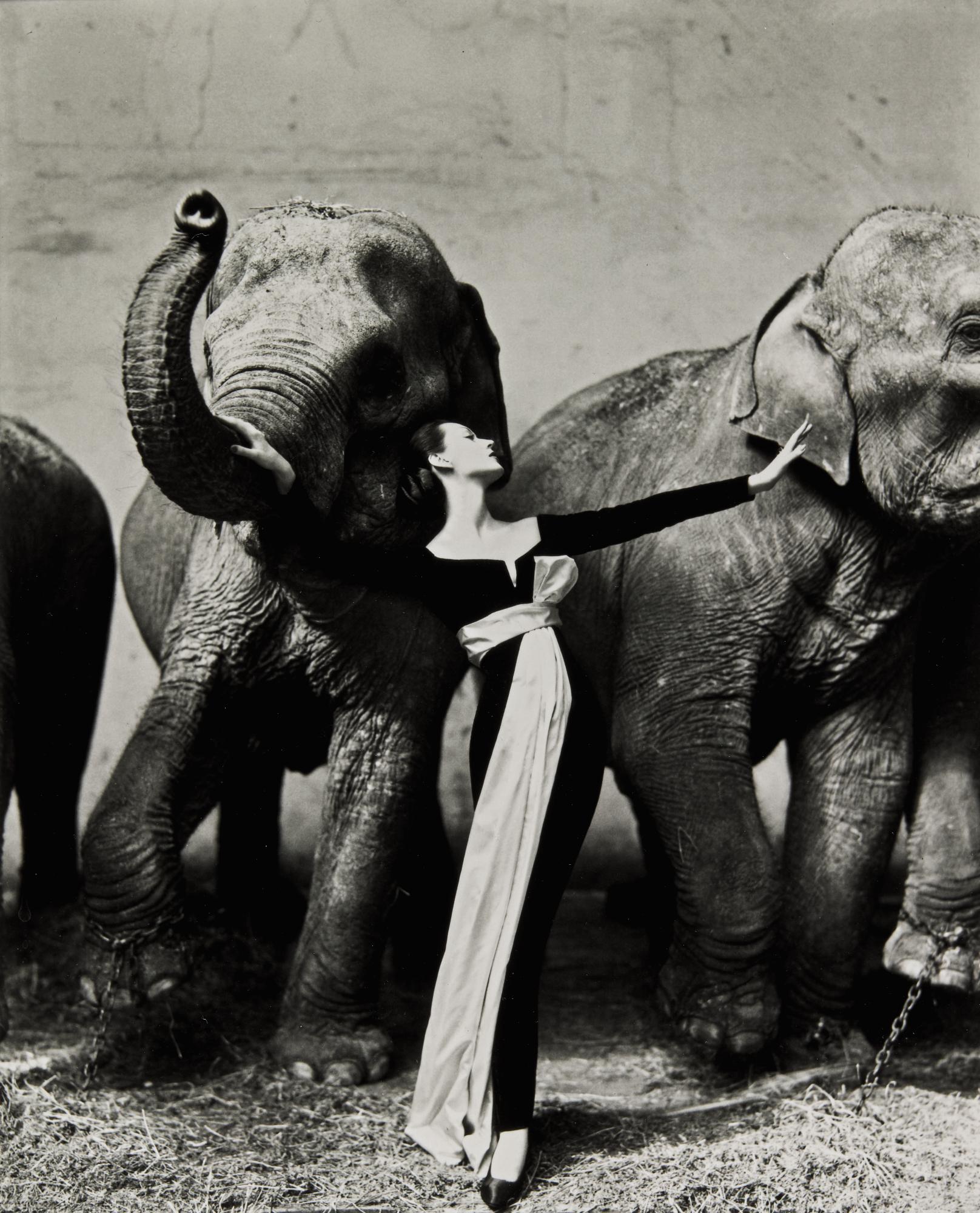 A Photography Collector’s Reference Guide | Photographs | Sotheby’s