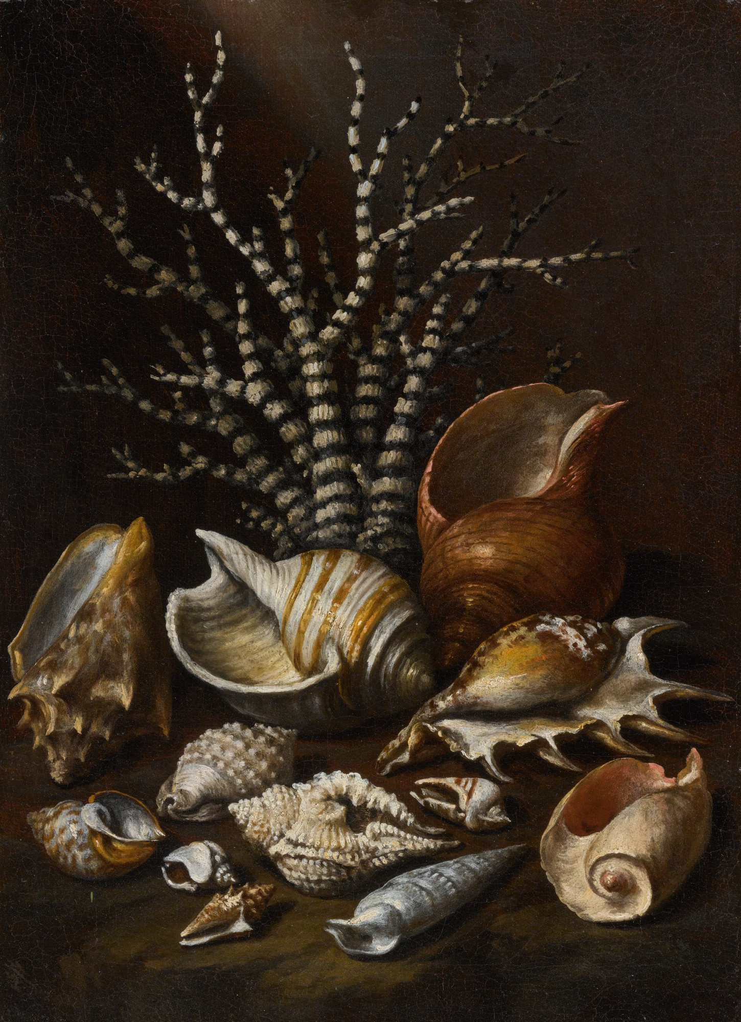 морские раковины в живописи. художник кожин семён натюрморт. натюрморт раковины. натюрморт раковины. натюрморт уильяма тальбота ракушки.