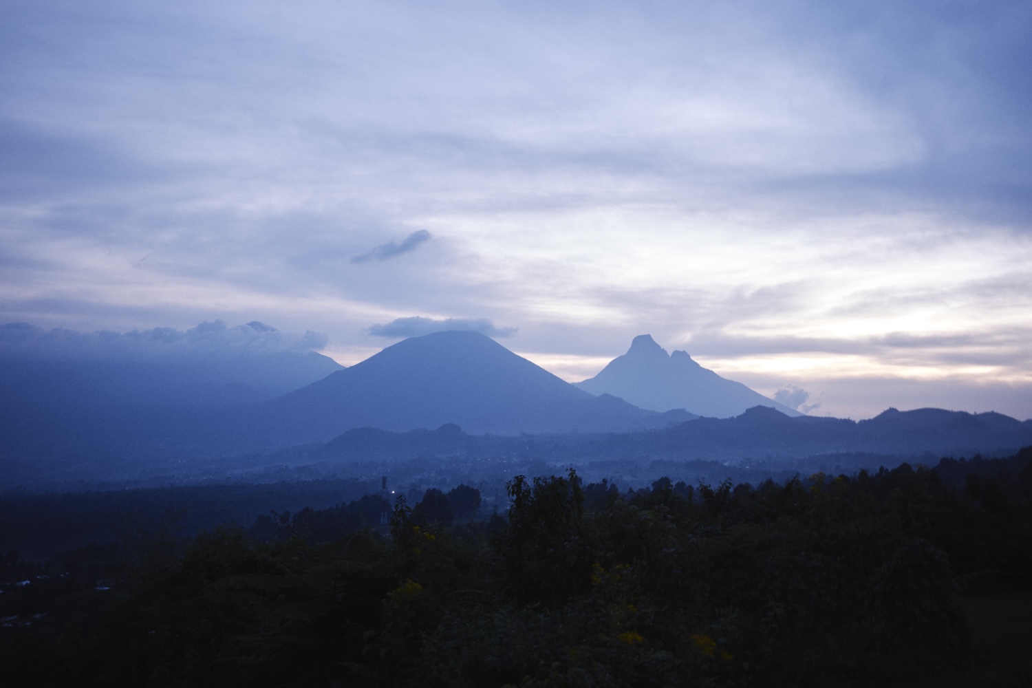 Type: featured Category: Sotheby’s Magazine Into the Virunga: Rwanda’s Mountain Gorilla Treks Are East Africa’s Most Exclusive