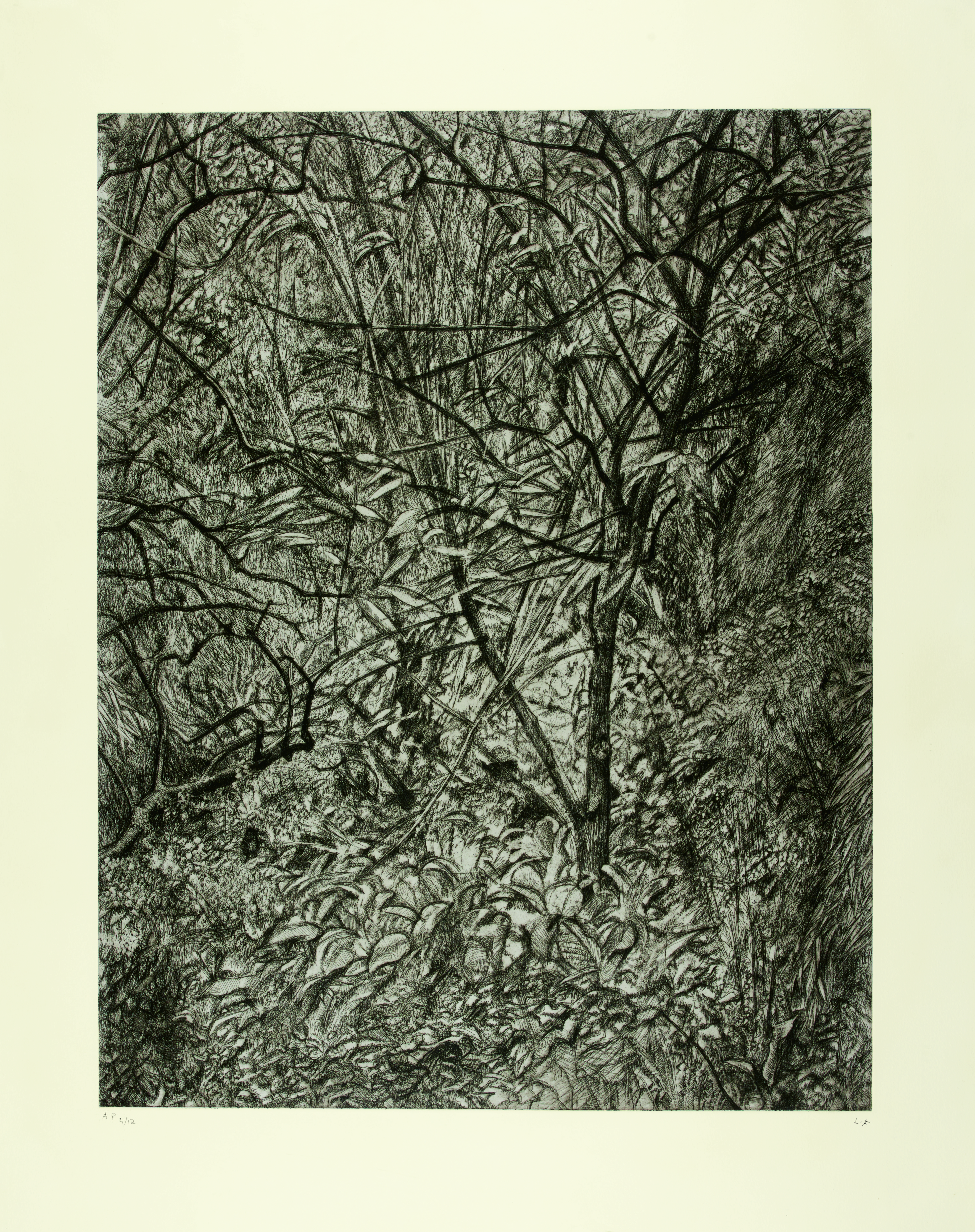 アート・デザイン・音楽 Lucian Freud: The Painter's Etchings Lucian Freud: The Painter's Etchings アート・デザイン・音楽