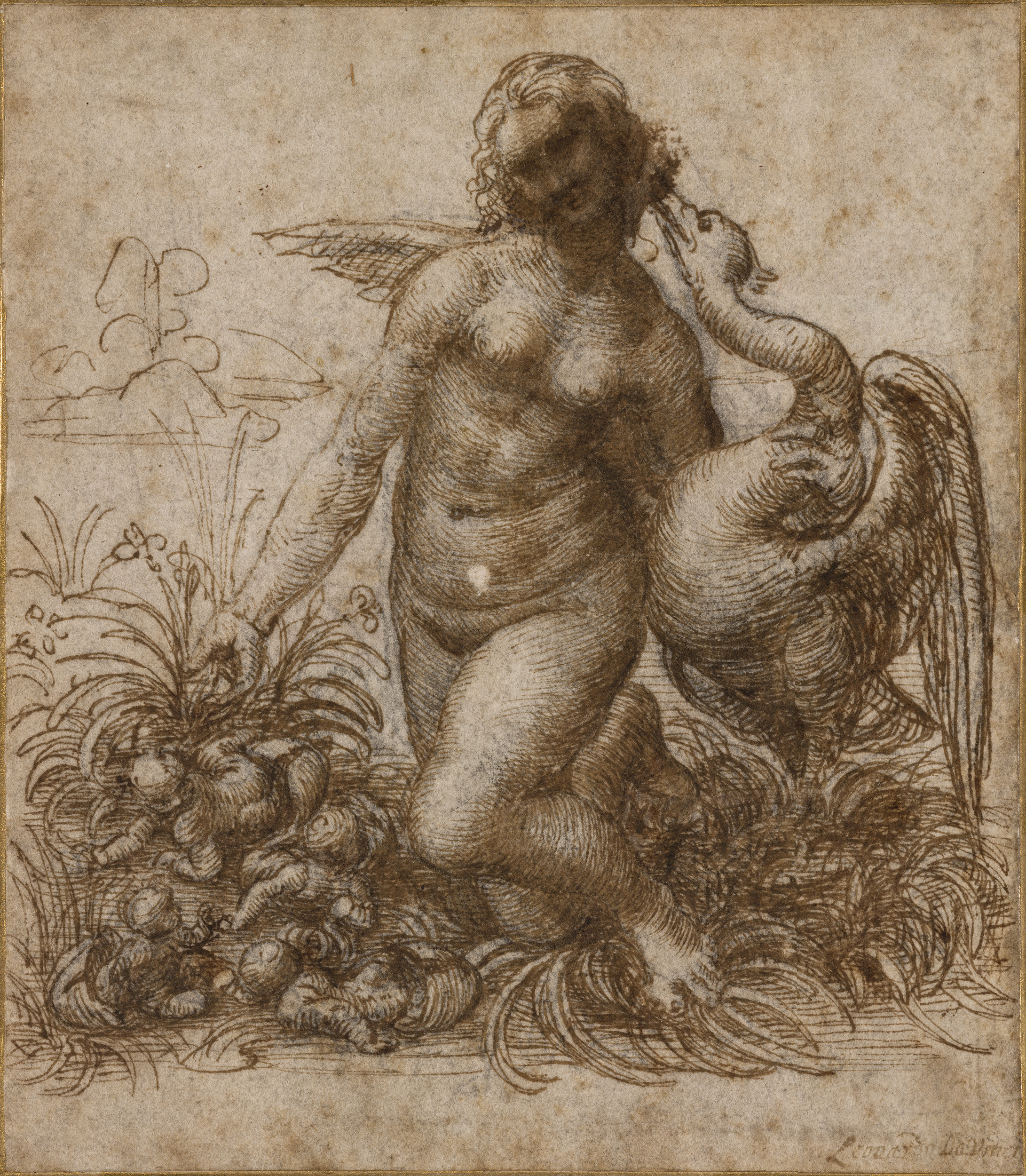 da-vinci-717.jpg