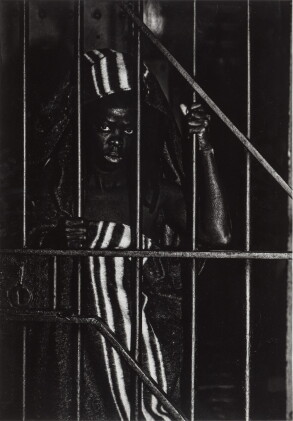 Catalog image of Bayephi I (Constitution Hill, Johannesburg, 2017)