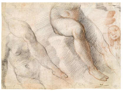Catalog image of recto: studies of the legs and torso of a nude woman with a separate study of t…