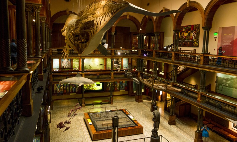 Bishop Museum Interior