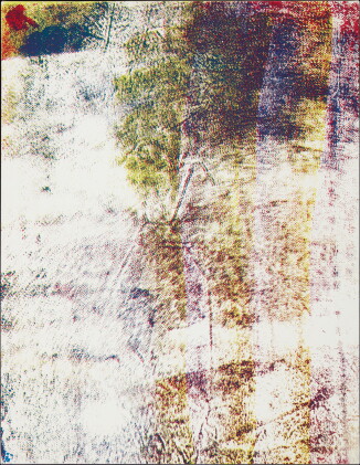 Catalog image of Untitled (33)
