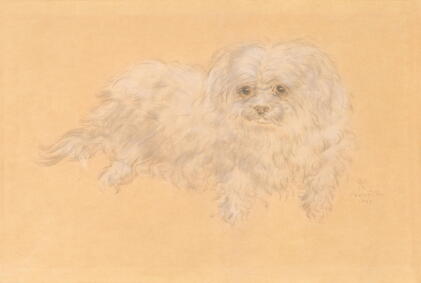 Catalog image of Le Chien bichon