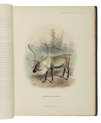 Catalog image of lydekker, richard | the deer of all lands. london: rowland ward, limited, 1898