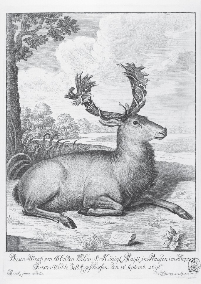 Johann Georg Wolfgang, The Elector’s 66-Point Stag