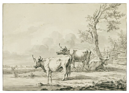 Catalog image of Resting cattle by a stream