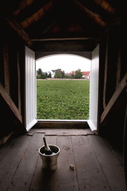 View 1 of Lot 7313: Krug 2008 (6 BT)