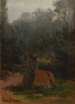 Catalog image of Stag Lying Down in the Forest