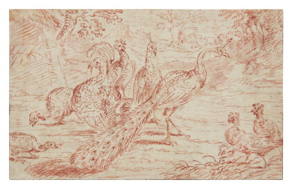 Catalog image of attributed to pieter casteels | peacocks in a landscape