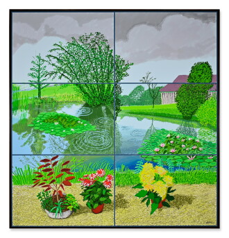 View 1 of Lot 12: 10th - 22nd June 2021, Water Lilies in the Pond with Pots of Flowers