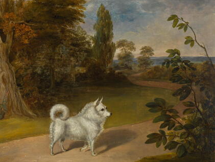 Catalog image of irish school, early 19th century | lady conyngham's royal pomeranian at bifron'…