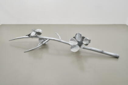 Catalog image of Viento con Dedos
