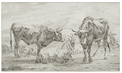 Catalog image of Two bullocks with a sheep and a goat