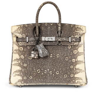 View 1 of Lot 2: Ombre Shiny Salvator Lizard Birkin 25 Palladium Hardware, 2011