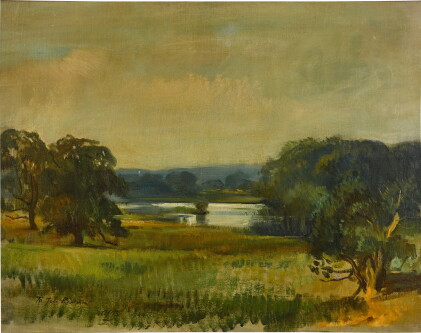Catalog image of The park at Mersham-le-Hatch