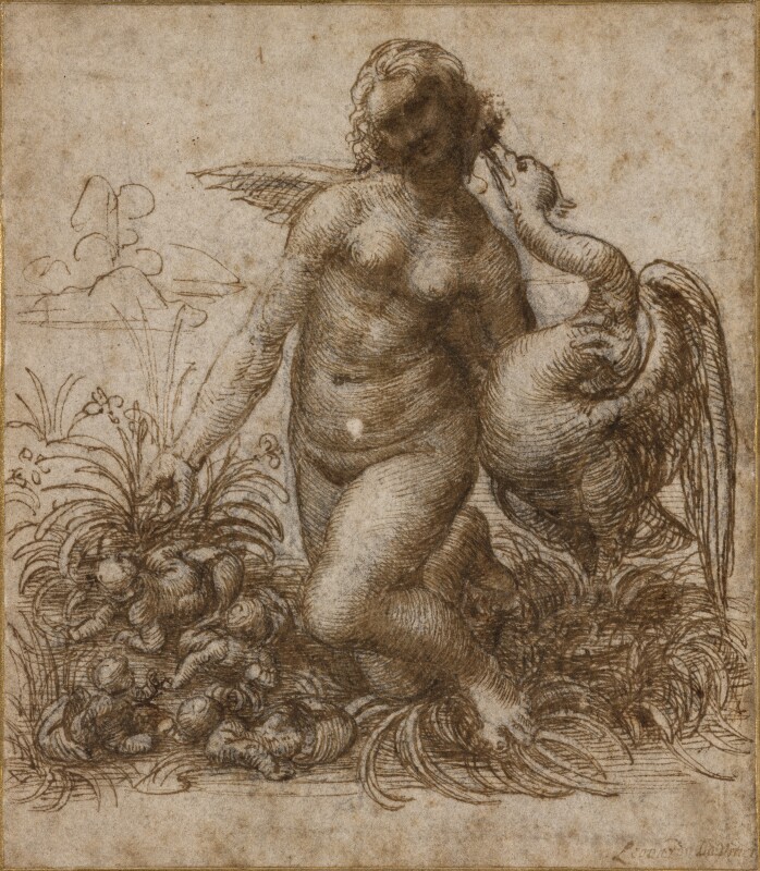 da Vinci 717.jpg