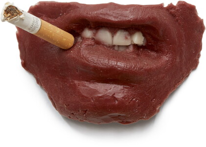 Catalog image of sarah lucas | where does it all end?