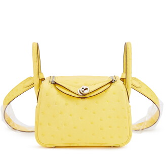 View 1 of Lot 600: Jaune Citron Ostrich Mini Lindy 20 Palladium Hardware, 2022