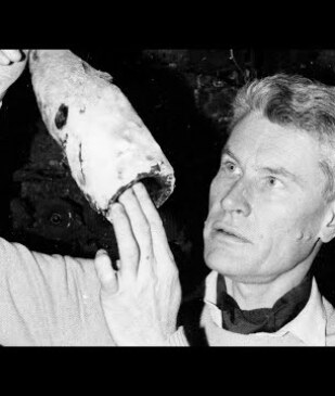 The Extraordinary Wine Collection of Robert Drouhin 