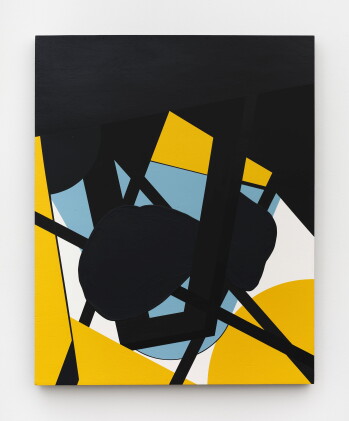 Catalog image of mass: studio study x