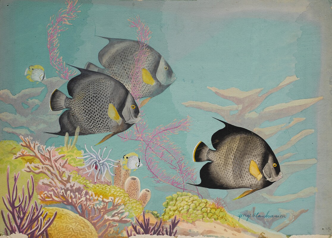 The Art Of Expedition Artist Alexis Rockman S Reverence For