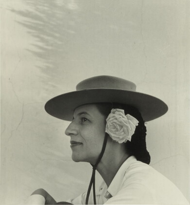Catalog image of louise dahl-wolfe | diana vreeland