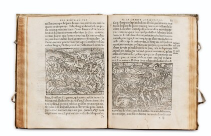 THEVET. Les Singularitez de la France Antarctique... Paris, 1557. In-4. Vélin de l'époque. Edition originale.