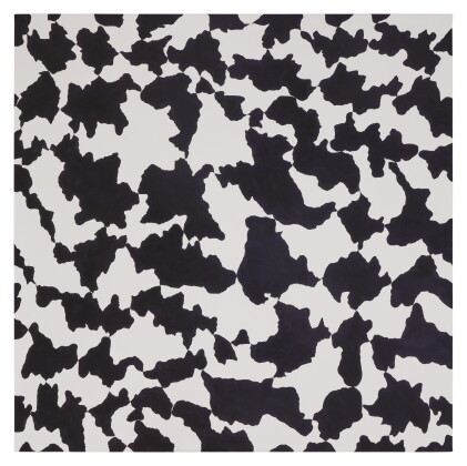 Catalog image of Discipline #3