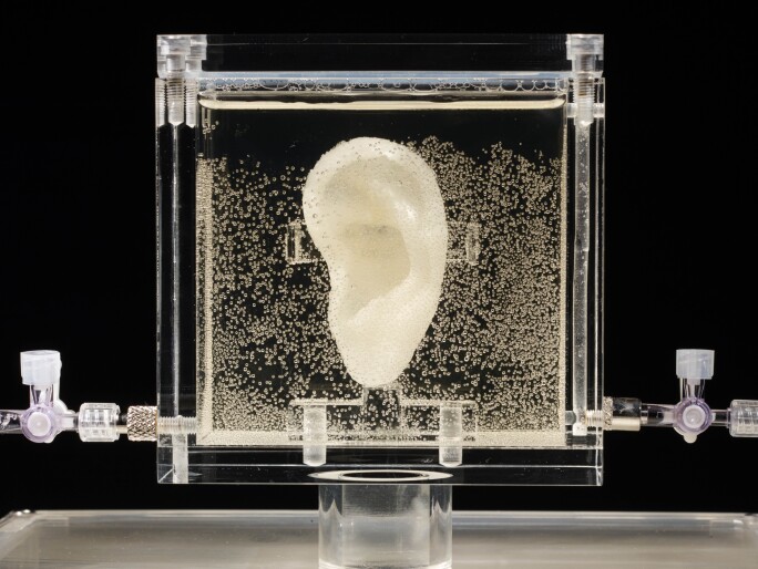 a large ear inside a clear vat of liquid with bubbles
