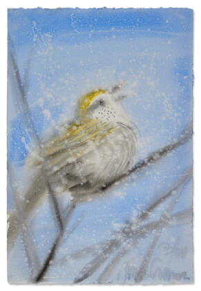 Catalog image of Snowy Day