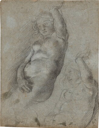 Catalog image of Studies of a woman with her arm raised