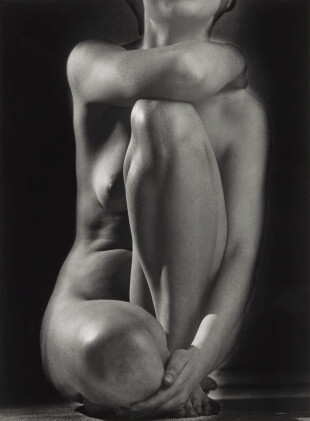 Catalog image of 'Classic Torso'
