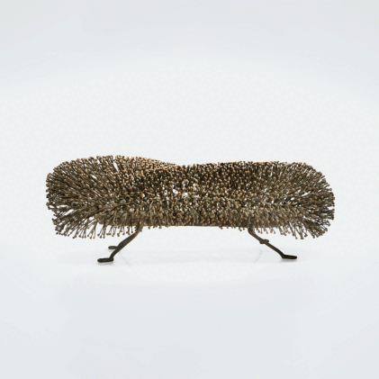 Catalog image of Untitled (Bush)