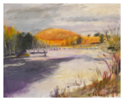 Catalog image of gray fall day