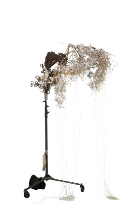 Catalog image of Thyrsus for Agave