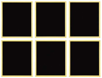 Catalog image of gary hume | 1000 windows: six works