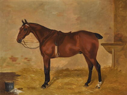 Catalog image of margaret collyer | "come on"