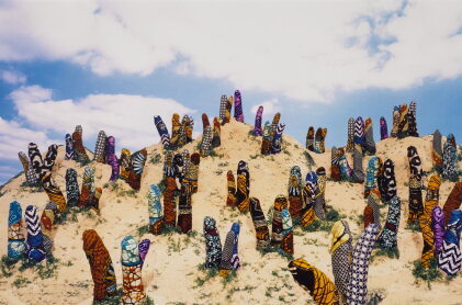 Catalog image of Dreamscape