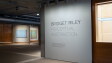 Artist Bridget Riley in Conversation with Courtney J. Martin, Paul Mellon Director, YCBA