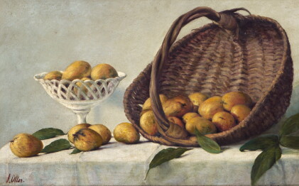 Catalog image of Mangóes