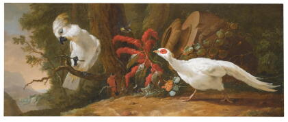 Catalog image of abraham bisschop | a sulphur-crested cockatoo, a red-crested cardinal and a whi…